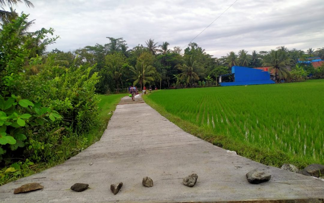 pembangunan Rabat Beton Jalan Cangkring Dusun Wungureja