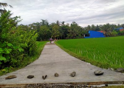 pembangunan Rabat Beton Jalan Cangkring Dusun Wungureja