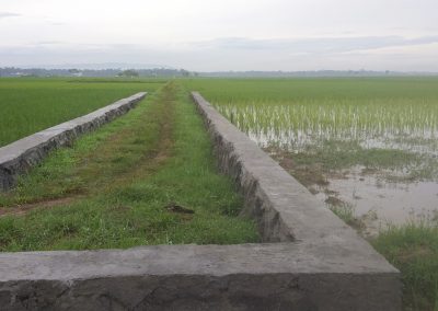 Pembangunan Talud jalan tani Tegalsari Wungusari